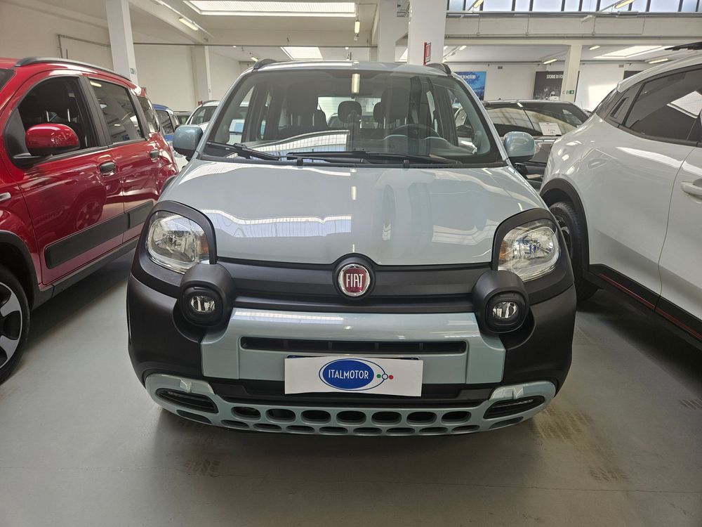 Panda III 